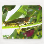 Phantastischer Grasshopper Mousepad (Vorne)