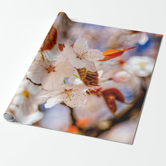 Phantastischer Haufen Sakura-Blume im Frühjahr Geschenkpapier (Ungerollt)