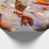 Phantastischer Haufen Sakura-Blume im Frühjahr Geschenkpapier (Ecke)