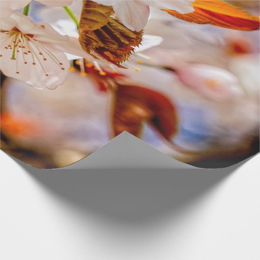 Phantastischer Haufen Sakura-Blume im Frühjahr Geschenkpapier (Ecke)