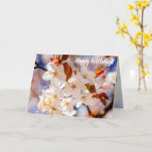 Phantastischer Haufen Sakura-Blume im Frühjahr Karte (Gelbe Blume)