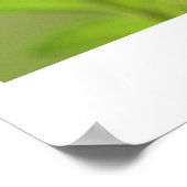 Phantastischer Hummingvogel Poster (Ecke)