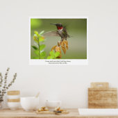 Phantastischer Hummingvogel Poster (Küche)