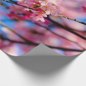Phantastischer rosa Sakura und blauer Himmel Geschenkpapier (Ecke)