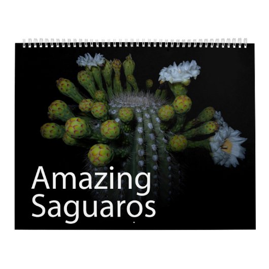 Phantastischer Saguaros-Kalender Kalender (Titelbild)