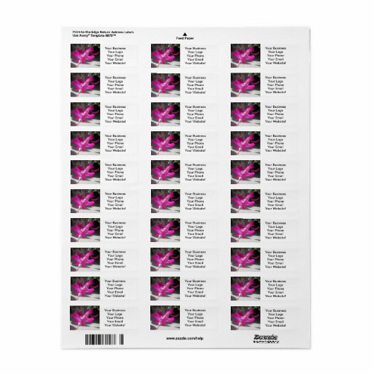 Phantastischer Weihnachtskaktus (Vorne)