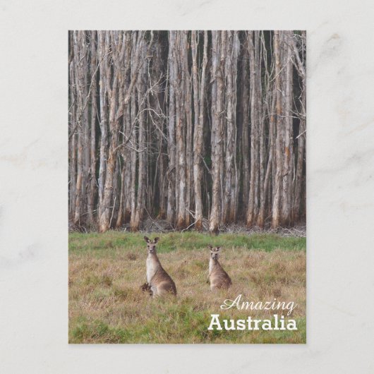 Phantastisches Australien Postkarte (Vorderseite)