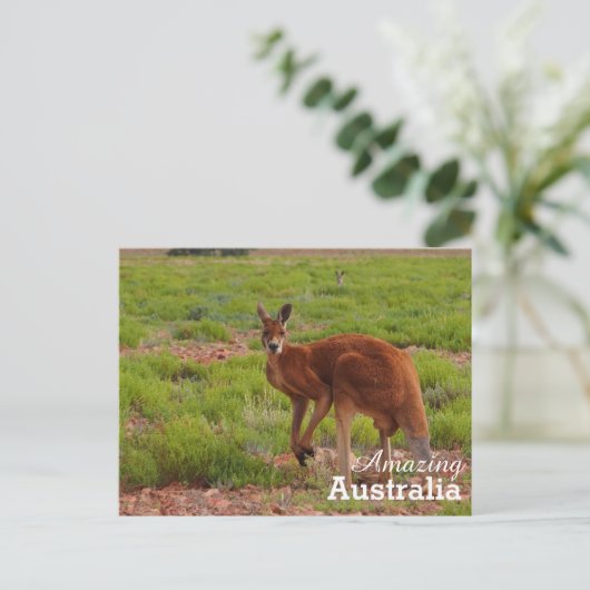Phantastisches Australien Postkarte (Stehend Vorderseite)