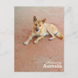 Phantastisches Australien Postkarte