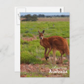 Phantastisches Australien Postkarte (Vorne/Hinten)