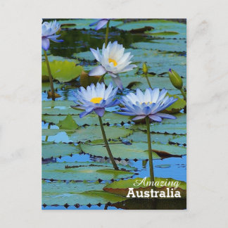 Phantastisches Australien Postkarte