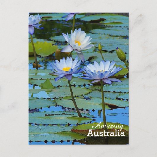 Phantastisches Australien Postkarte (Vorderseite)