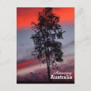 Phantastisches Australien Postkarte