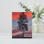 Phantastisches Australien Postkarte (Stehend Vorderseite)