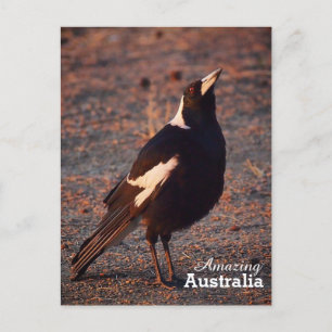 Phantastisches Australien Postkarte