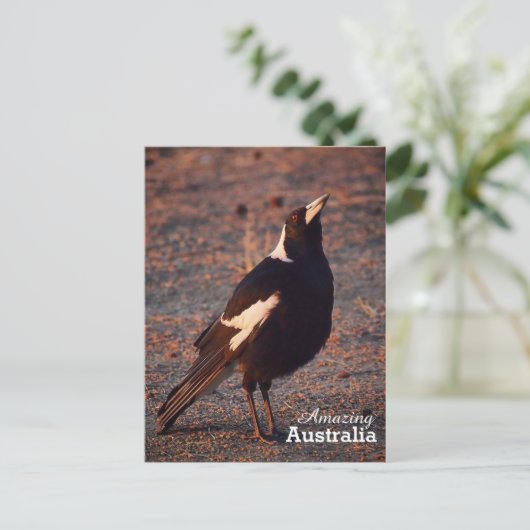 Phantastisches Australien Postkarte (Stehend Vorderseite)