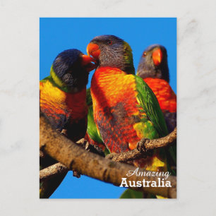 Phantastisches Australien Postkarte