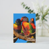 Phantastisches Australien Postkarte (Stehend Vorderseite)
