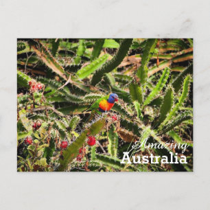Phantastisches Australien Postkarte