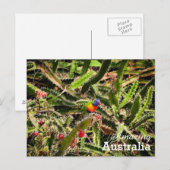 Phantastisches Australien Postkarte (Vorne/Hinten)