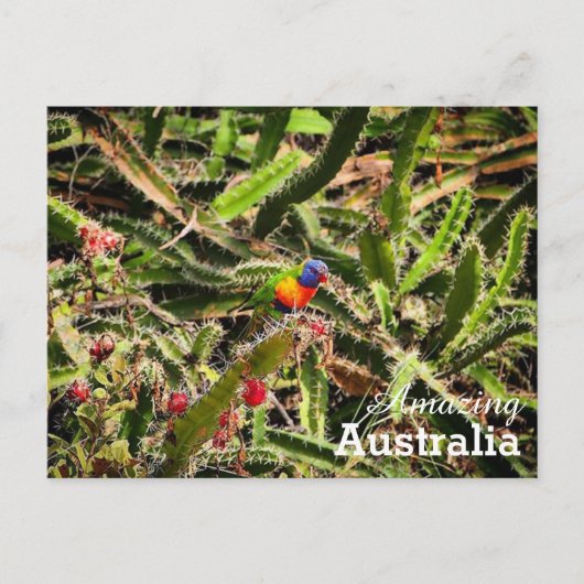 Phantastisches Australien Postkarte (Vorderseite)