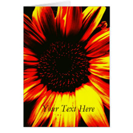 phantastisches Bild der großen gelben Sonnenblume