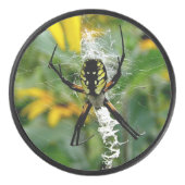 Phantastisches Foto Orb Spider im Web Eishockey Puck (Vorderseite)