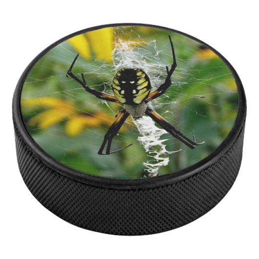 Phantastisches Foto Orb Spider im Web Eishockey Puck (3/4)