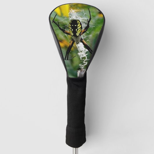 Phantastisches Foto Orb Spider im Web Golf Headcover (Vorderseite)