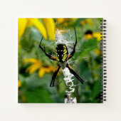 Phantastisches Foto Orb Spider im Web Notizbuch (Rückseite)