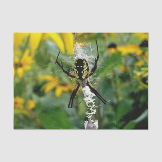 Phantastisches Foto Orb Spider im Web Seidenpapier (Vorderseite)