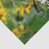 Phantastisches Foto Orb Spider im Web Seidenpapier (Ausschnitt)