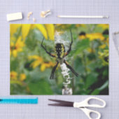 Phantastisches Foto Orb Spider im Web Seidenpapier (Handwerk)