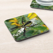 Phantastisches Foto Orb Spider im Web Untersetzer (Linke Seite)