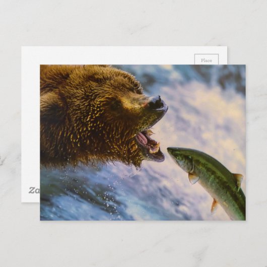 Phantastisches Lachsbärenbild Postkarte (Vorne/Hinten)