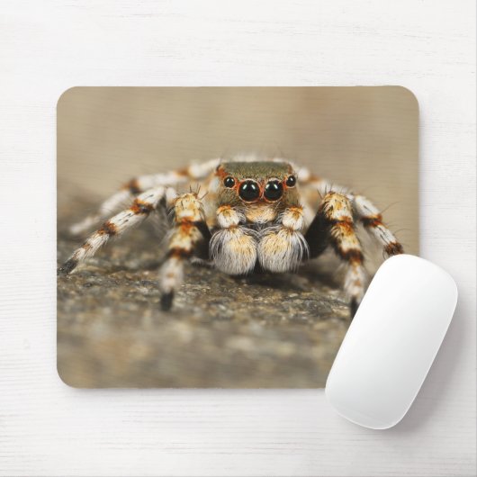 Phantastisches Nah-Up einer Tarantula-Spinne Mousepad (Mit Mouse)