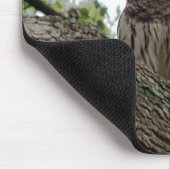Phantastisches Owl Mousepad (Ecke)