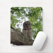 Phantastisches Owl Mousepad (Mit Mouse)