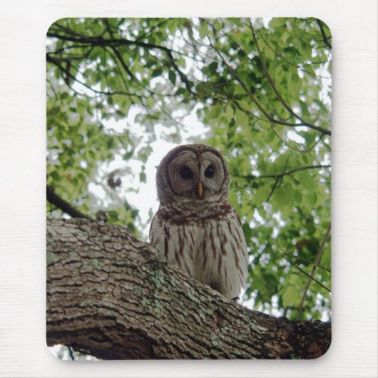 Phantastisches Owl Mousepad (Vorne)