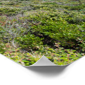 Phantastisches Panorama des Deep Creek Conservatio Poster (Ecke)