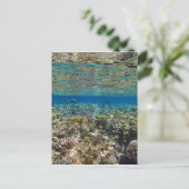 phantastisches Rotes Meer Postkarte (Stehend Vorderseite)
