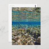 phantastisches Rotes Meer Postkarte (Vorne/Hinten)