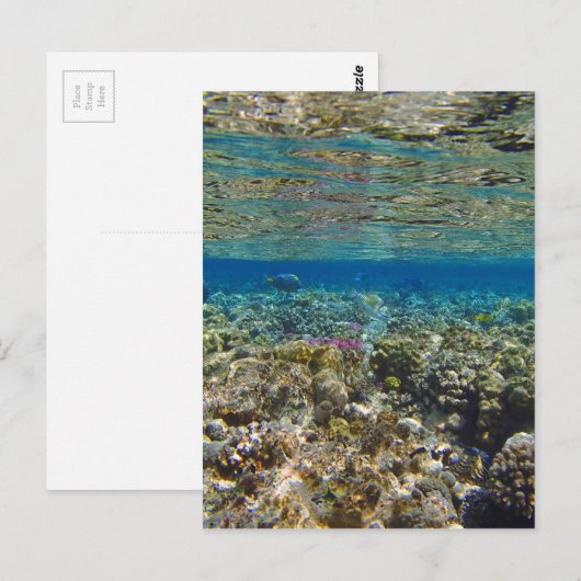 phantastisches Rotes Meer Postkarte (Vorne/Hinten)