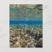 phantastisches Rotes Meer Postkarte (Vorderseite)