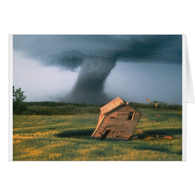 Phantastisches Spektakel (Vorderseite (Horizontal))