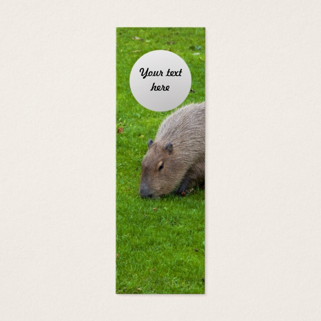 Phantastisches Tier Capybara (Vorderseite)