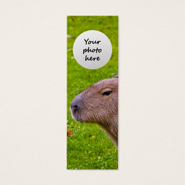 Phantastisches Tier Capybara (Vorderseite)