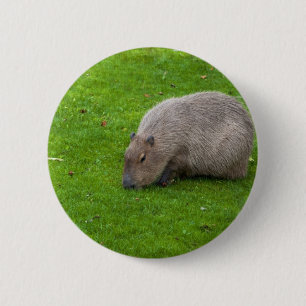Phantastisches Tier Capybara Button