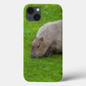 Phantastisches Tier Capybara Case-Mate iPhone Hülle (Rückseite)