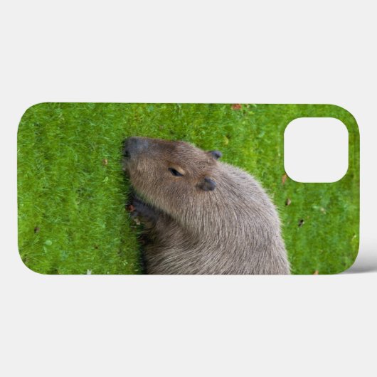 Phantastisches Tier Capybara Case-Mate iPhone Hülle (Rückseite (Horizontal))